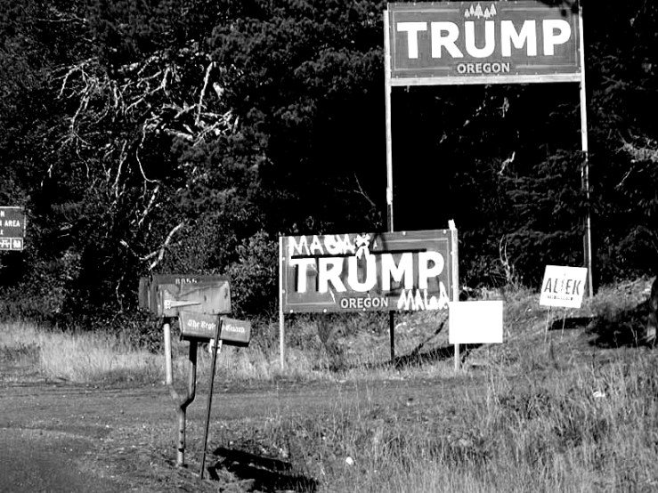 #7: Coronaerfolg ist&nbsp;Wahlerfolg